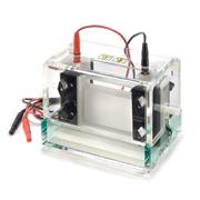 Emperor Penguin Dual Gel Electrophoresis Systems
