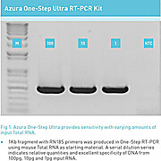 Azura™ 1-Step Ultra RT-PCR Kit