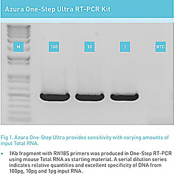 Azura™ 1-Step Ultra RT-PCR Kit