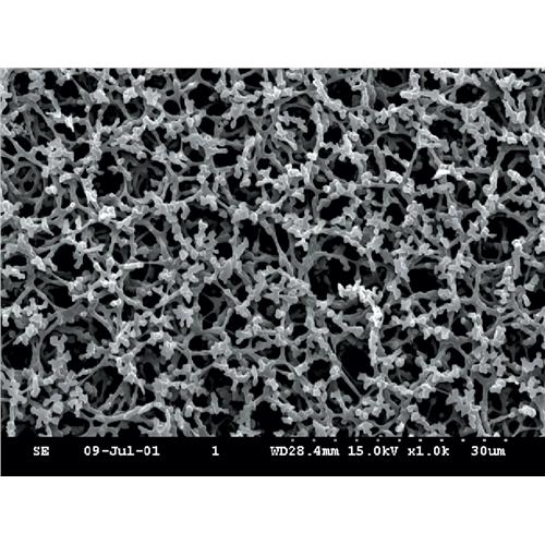 NonSterile Cellulose Nitrate Membranes 8 µm
