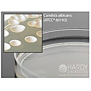 Mycobiotic Agar