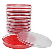 Mueller Hinton Agar with Blood
