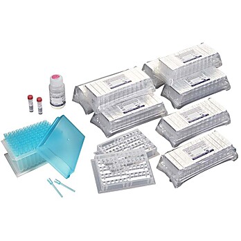 Tissue Total DNA Auto Plate & Tube, Proteinase K included (Maelstrom™ 8 Autostage/Maelstrom™ 4810)