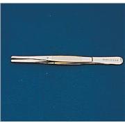 Specimen Forceps