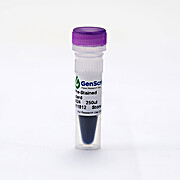 Broad Multi Color Pre-Stained Protein Standard