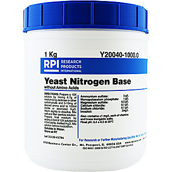Yeast without Amino Acids