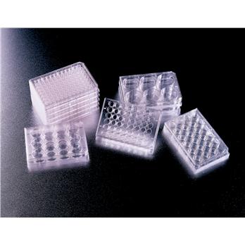 Falcon® Multiwell Plates For Cell Culture