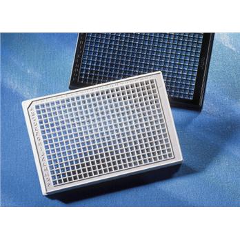 384-Well Microplates