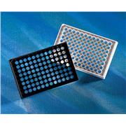 96 Well Non-Sterile, Clear Flat Bottom Plates without Lid