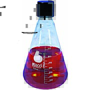 Graduated Erlenmeyer Flask, 1000mL With 38mm Cap