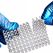 96 Well Pcr Plate, Clear, Sterile