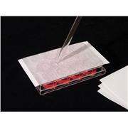 AeraSeal™  Film For Cell and Bacterial Culture