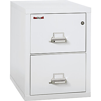 1 Hour Fire Rated 2 Drawer Vertical Safe-in-a-File Cabinet, Legal 31" Depth