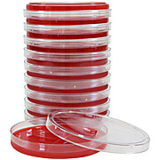 ANAEROBIC BLOOD AGAR - CDC FORMULATION, A90, Anaerobic PEA