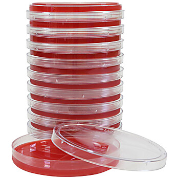 ANAEROBIC BLOOD AGAR - CDC FORMULATION, A90, Anaerobic PEA