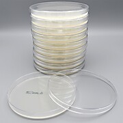 Potato Dextrose Agar, USP HDx, 15x150mm plate
