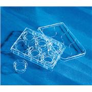 24 mm Transwell Polyester Membrane Insert