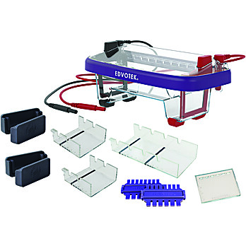 M12 Complete™ Electrophoresis Package