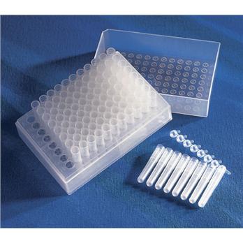 96 Well Polypropylene Cluster Tubes For Cell Culture