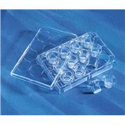 12 mm Polyester Inserts, 0.4 um Pore