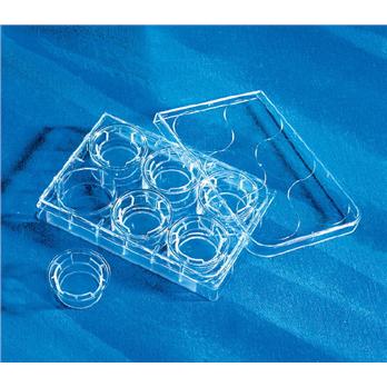 6.5 mm Transwell Microplates Polyester Inserts