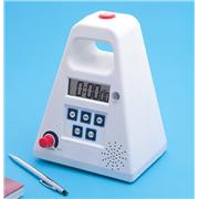 Digital Timer, FT24