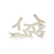 Polypropylene Y-Shape Tubing Connectors