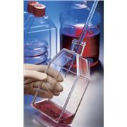 CellBind Angled Neck Cell Culture Flask