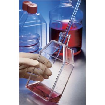 CellBind Angled Neck Cell Culture Flask