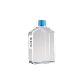Falcon® Vented Cell Culture Flasks