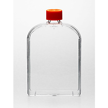 Corning® 175cm²  U-Shaped Angled Neck Cell Culture Flask with Phenolic-Style  Cap