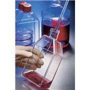 CellBind Rectangular Canted Neck Cell Culture Flask