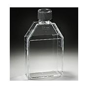 Falcon Tissue Culture Flasks, Canted Neck, 250 mL