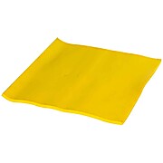 SLIKSTOPPER PVC Drain Cover