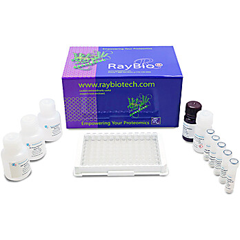 NON Human PDGF-BB ELISA Kit
