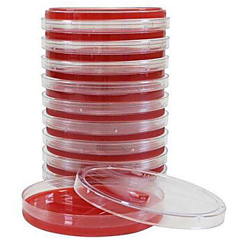 Blood Agar 5%, 15x100mm Plate