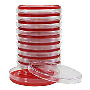 Brucella Blood Agar with Hemin and Vitamin K, Anaerobe Agar, Reducible