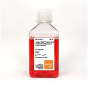 FREE™ Serum-Free, Protein-Free Medium