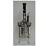 3L Bioreactor Vertical Disk Impeller System,115V
