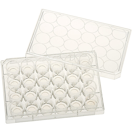 24 Well Tissue Culture Plate