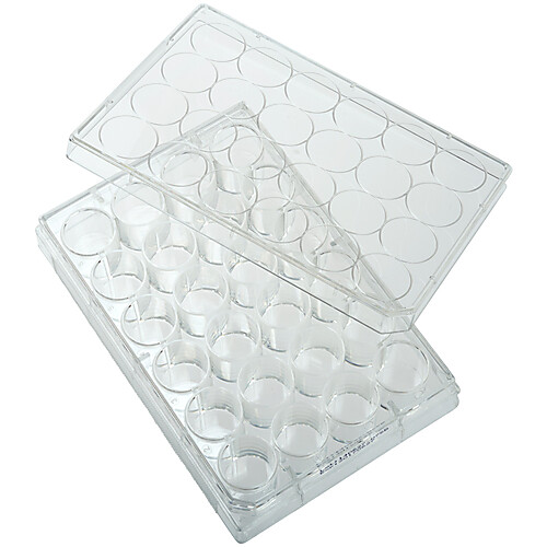 Well Tissue Culture Plate