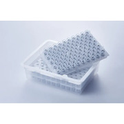 Thornton 1/6 oz. (5 ml) Hinged Lid Container 3/4 x 7/8 | H-1.25