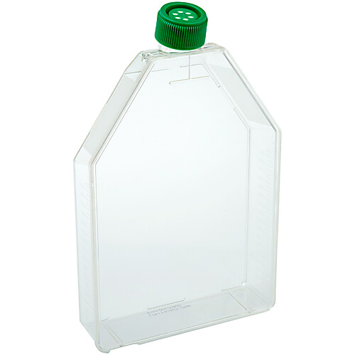 300cm2 Tissue Culture Flasks