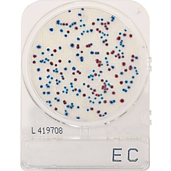 CompactDry™ E.Coli (EC) and Coliforms for colony counting