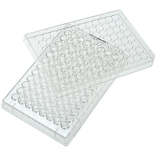 96 Well Tissue Culture Plate