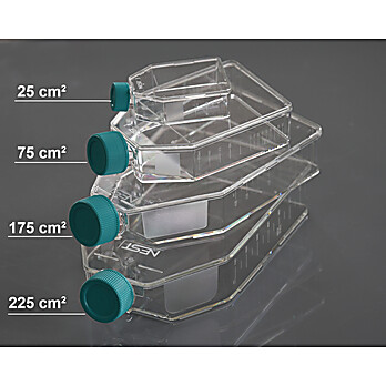 25cm2 Cell Culture Flasks, Plug Seal Cap, TC, sterile 10/pk, 200/cs