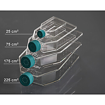 25cm2 Cell Culture Flasks, Vent Cap, TC, sterile 10/pk, 200/cs