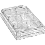 TC Treated 6-Well Plate W/Lids