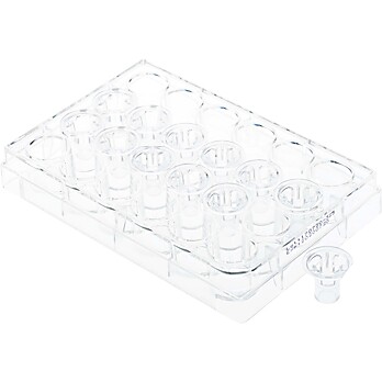 Permeable Cell Culture Inserts