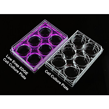 6 Well Cell Culture Plate, flat, TC, sterile, Bulk, 10/pk, 50/cs